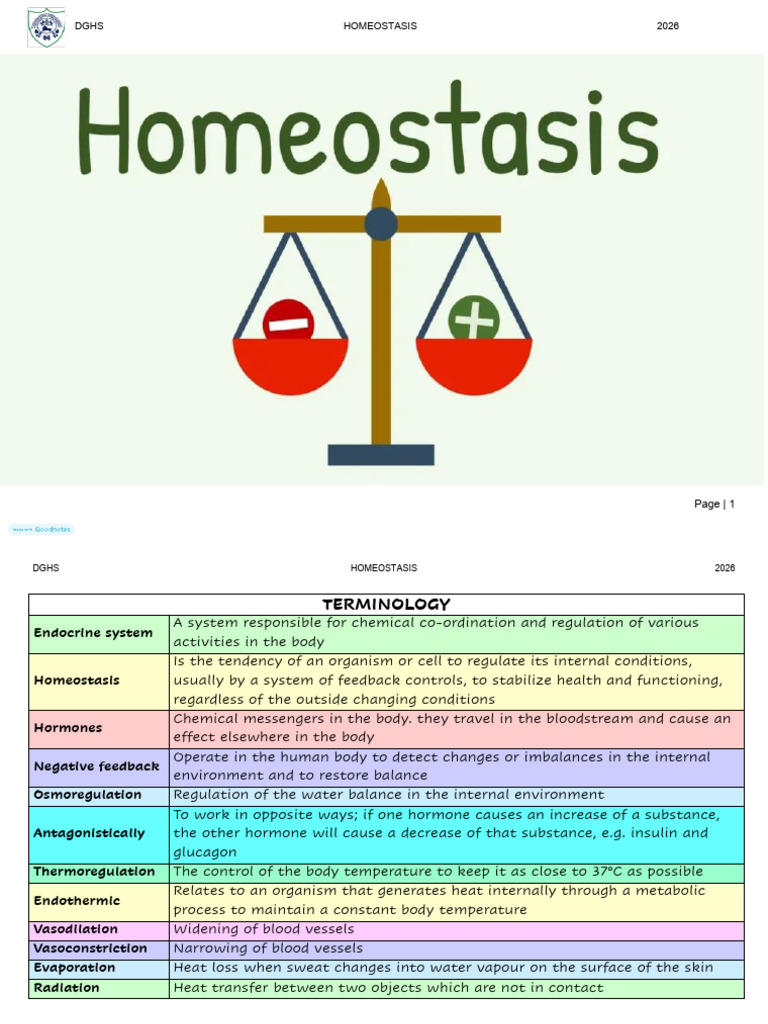 2026 Homeostases Learners | PDF | Homeostasis | Kidney