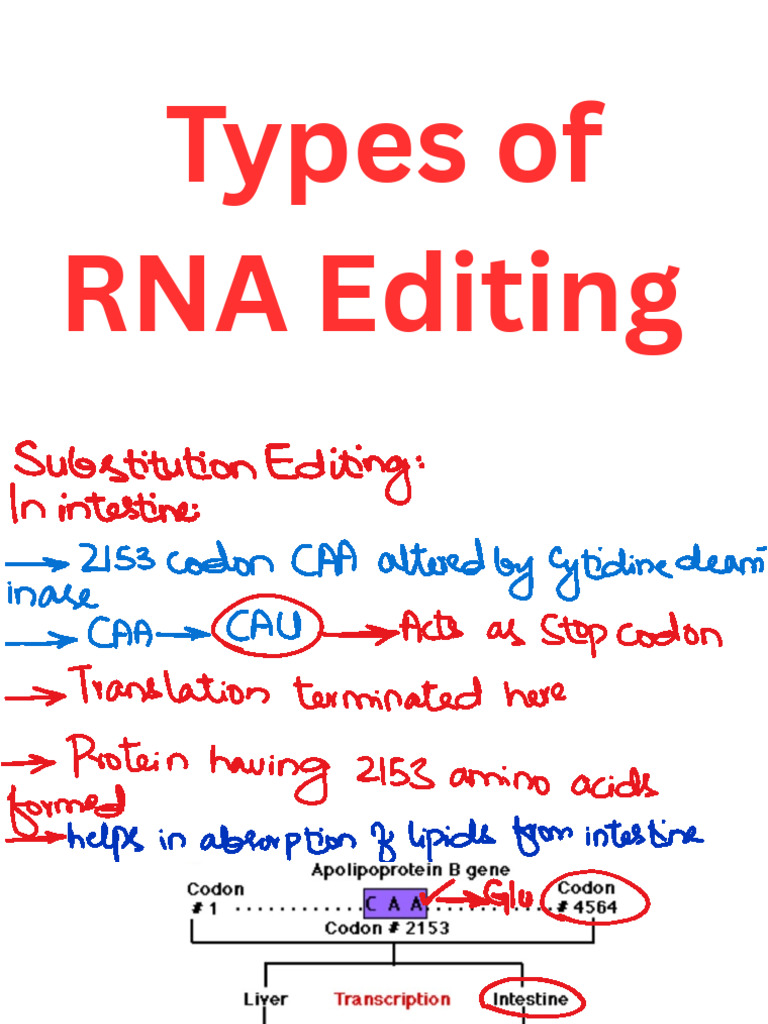 Types of RNA Editing | PDF