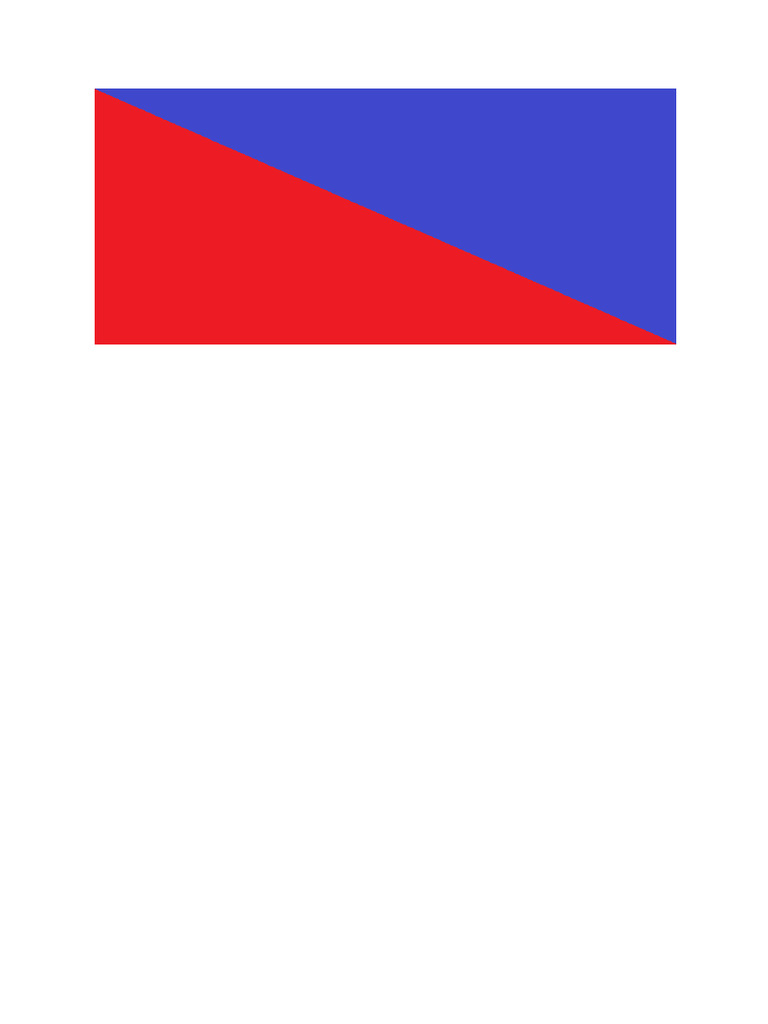 Bflag | PDF