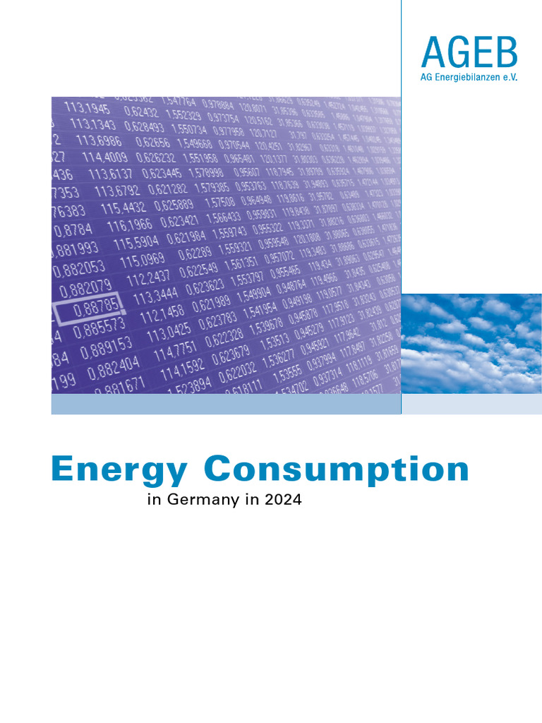 AGEB Jahresbericht2024 20250815 en | PDF | Macroeconomics | Temperature