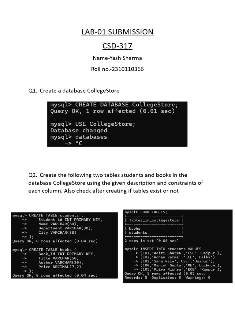 LAB 01 Yash | PDF
