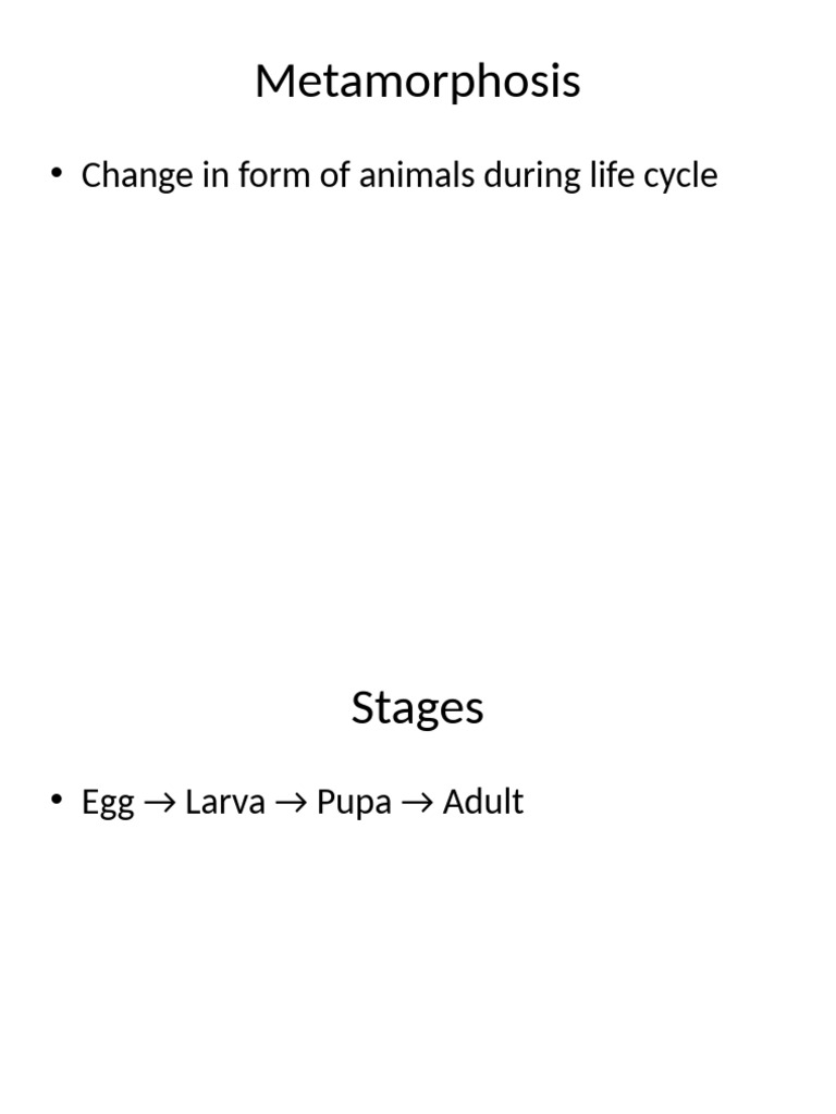 Metamorphosis | PDF