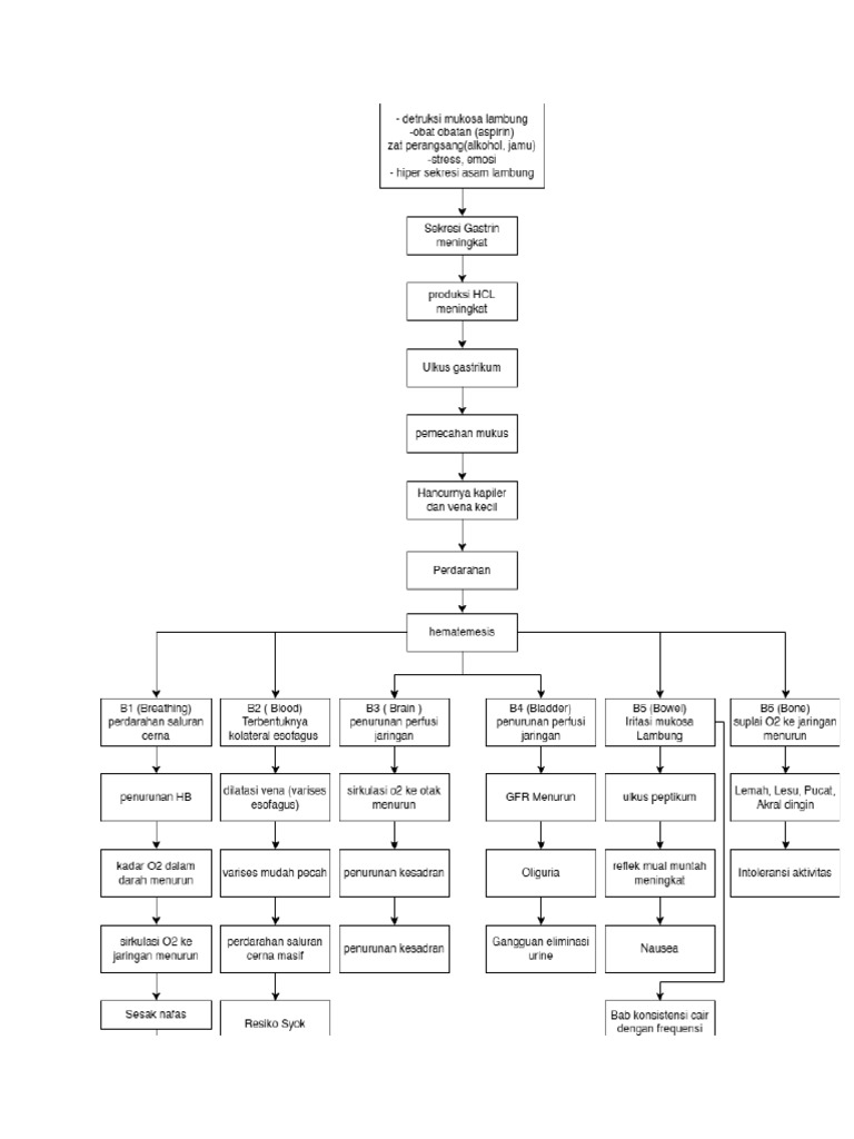Pathwat HM | PDF