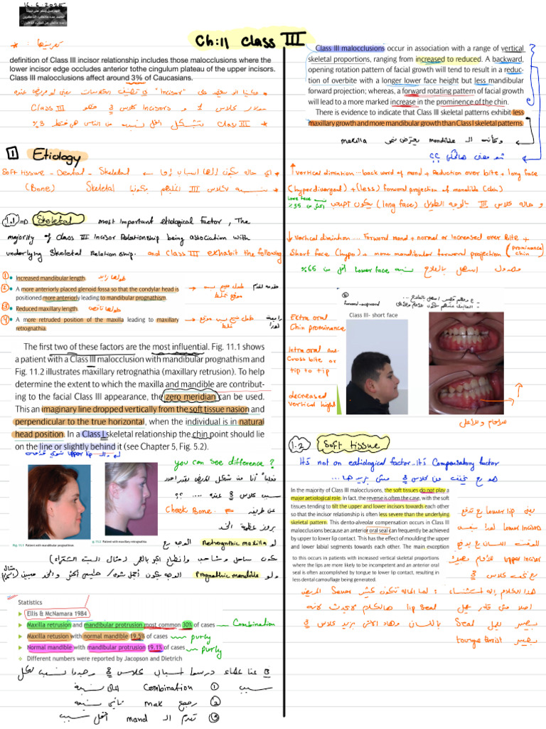 Ortho Mayar 4th | PDF | Primate Anatomy | Human Head And Neck