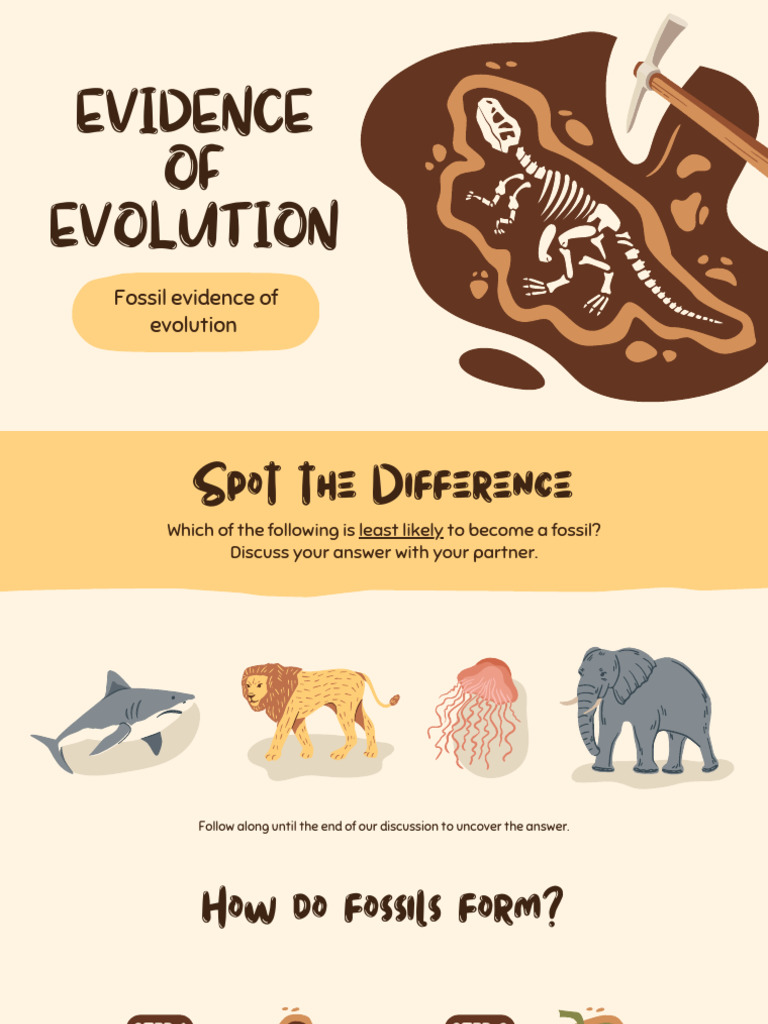 Unit 1 - Module 3 - Lesson 1 (Fossil Evidence of Evolution) | PDF ...