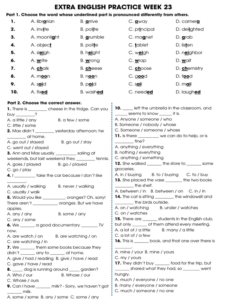 Extra English Practice W23 | PDF