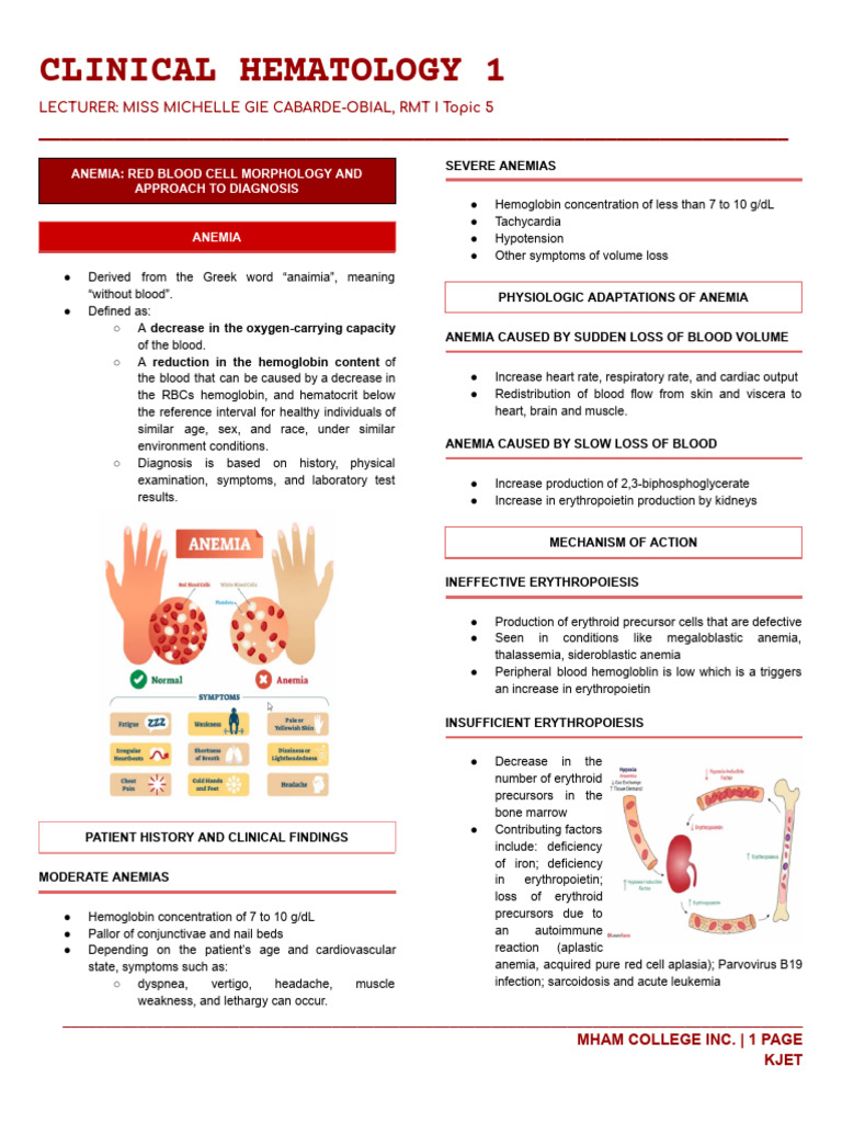 LEC#5 - Anemia RBC Morphology & Approach To Diagnosis | PDF | Anemia ...