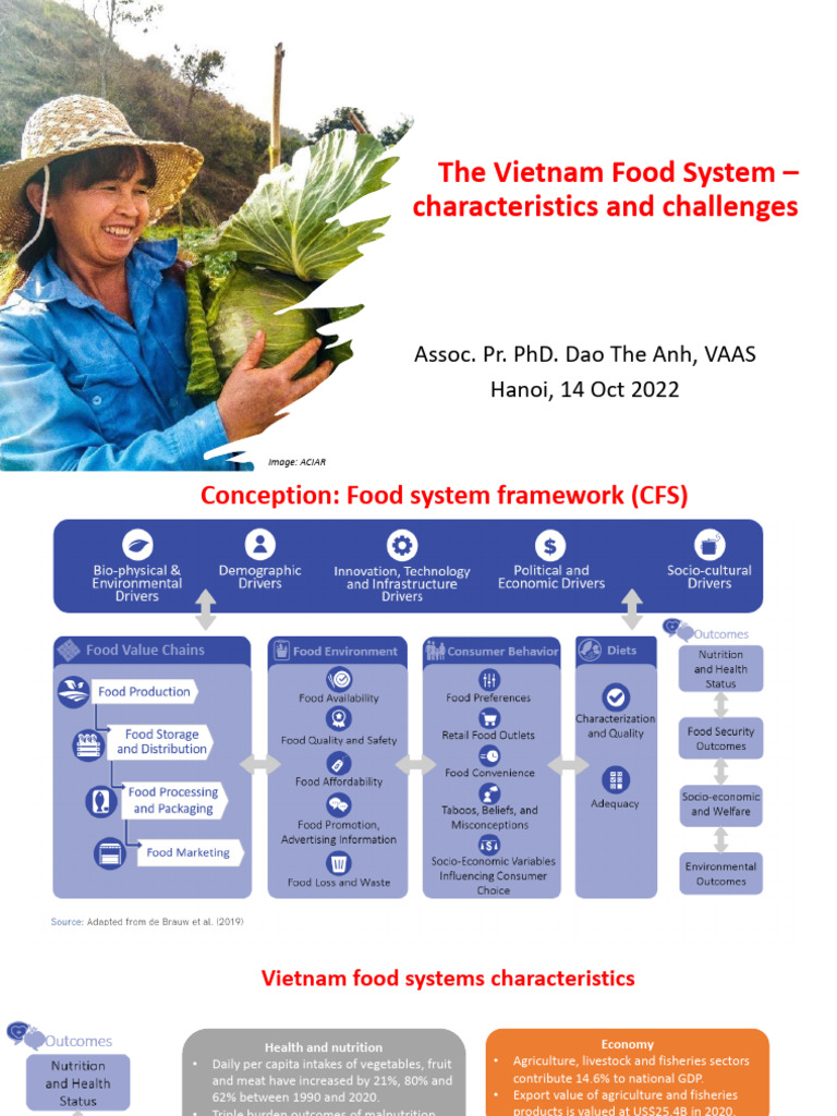 Dao The Anh - Vietnam Food Systems Bach Khoa - en - Final Short | PDF ...