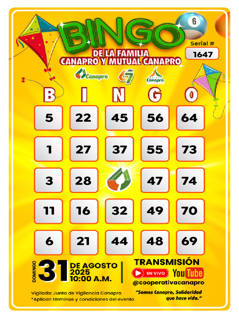 BINVI Lot De 640 Cartons De Bingo – 320 Cartons Uniques Par Paquet – Idéal Pour Associations Et Fêtes
