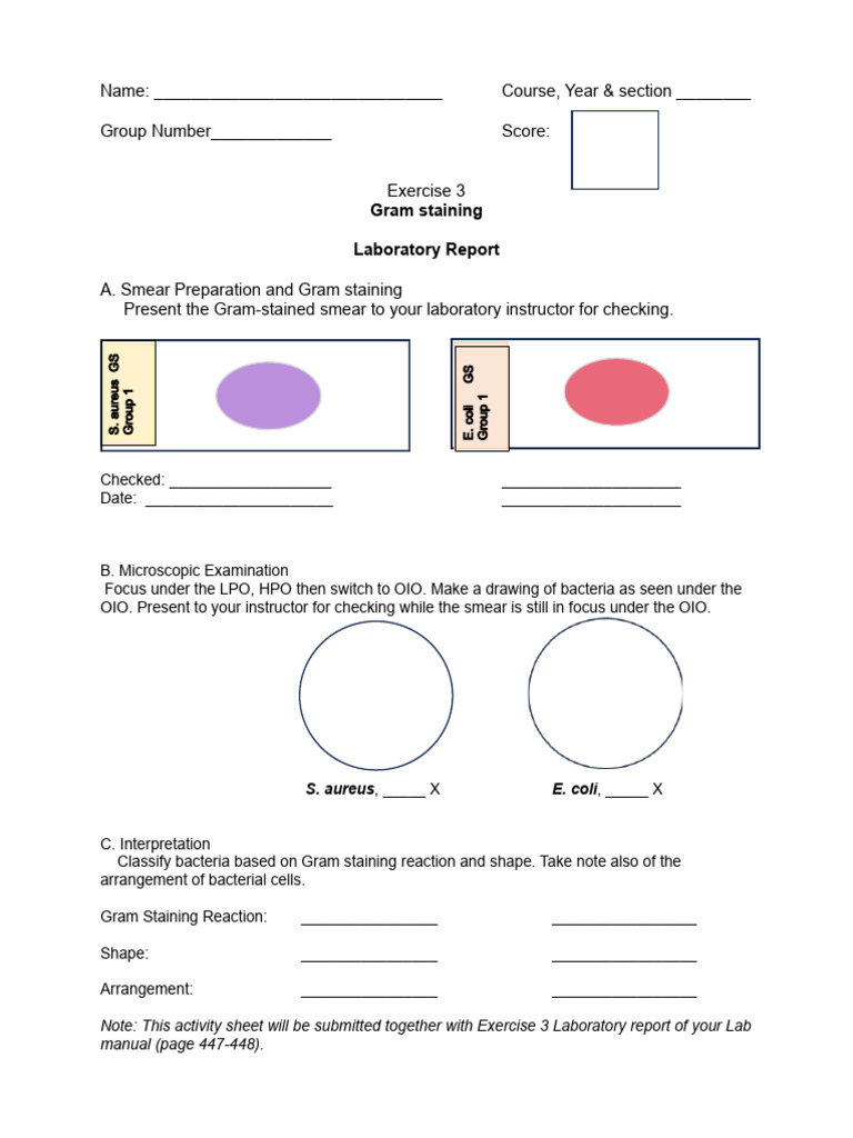 Lab Report Gram Staining | PDF