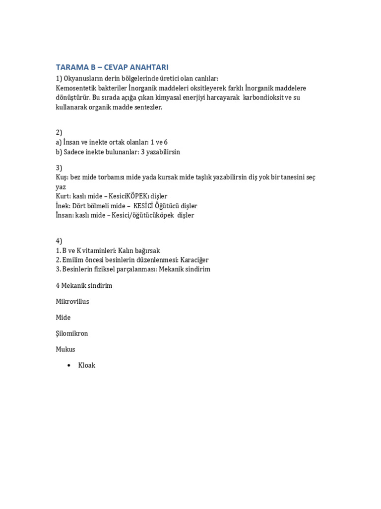 Cevap Anahtari Tarama B | PDF