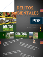 Delitos Ambientales 290512