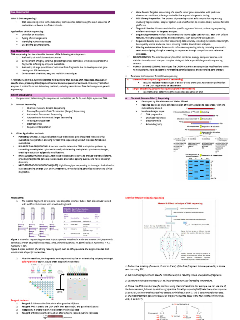 Dna Sequencing Complete | PDF | Dna Sequencing | Primer (Molecular Biology)