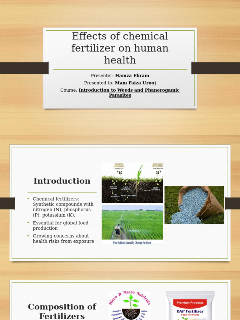 Effects of Chemical Fertilizer On Human Health | PDF