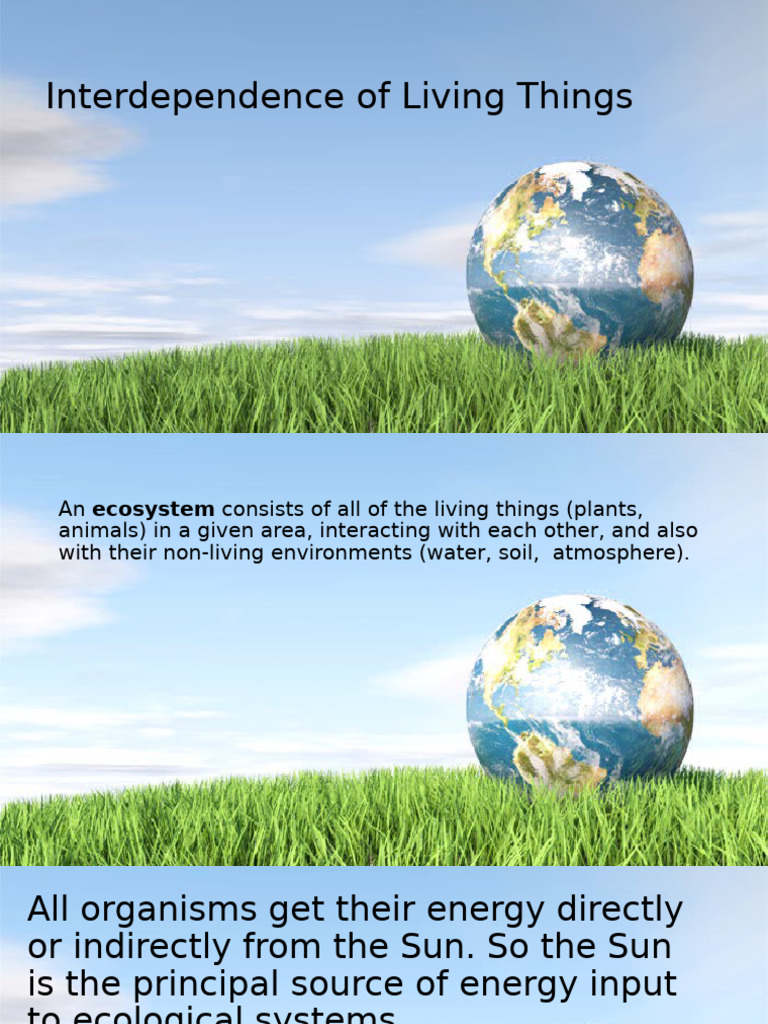 Interdependence of Living Things | PDF
