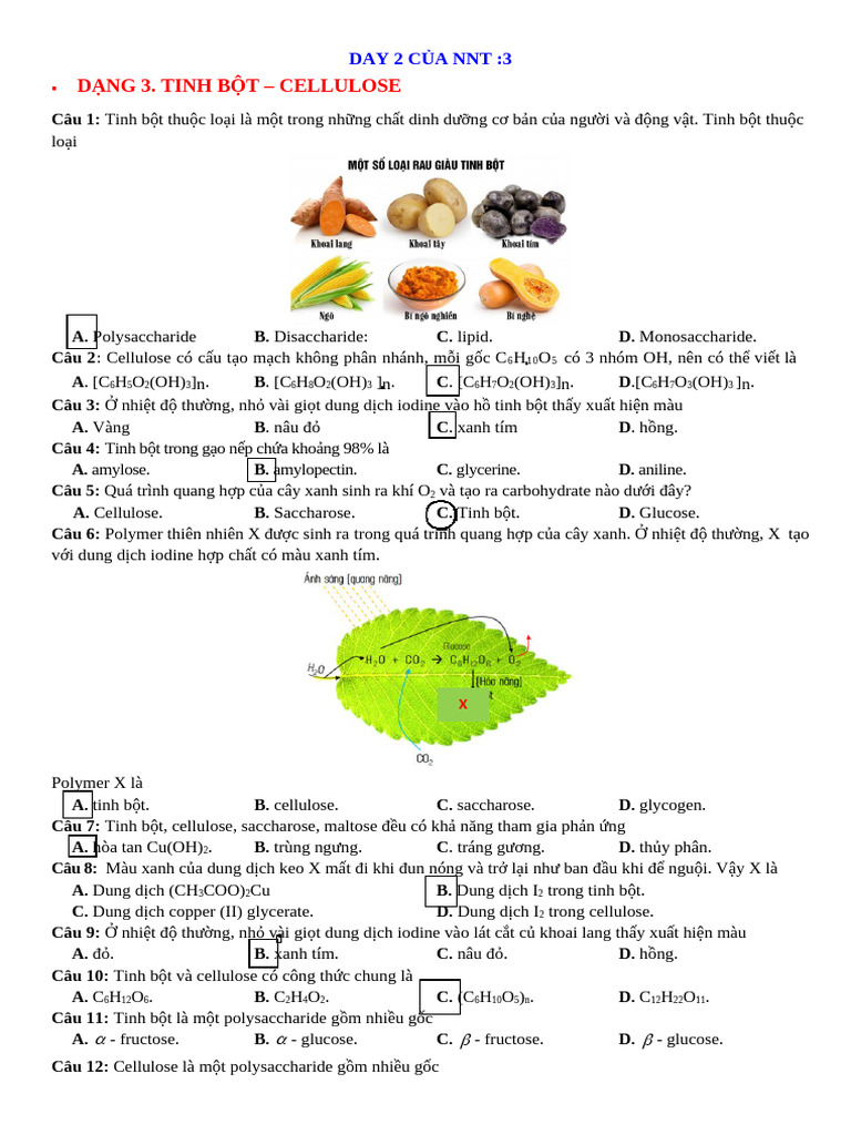BT Chuong 2-Day 2 Cua NNT | PDF