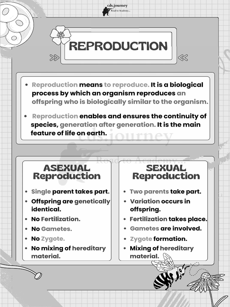 Reproduction | PDF