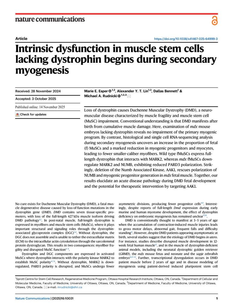 Intrinsic Dysfunction in Muscle Stem Cells Lacking Dystrophin Begins ...