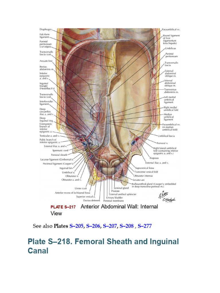Netter Atlas of Human Anatomy - A Systems Approach 8th Ed. by Frank H ...