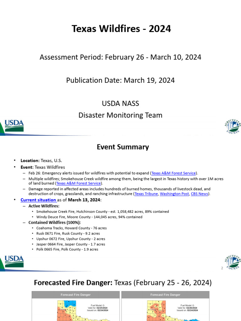 2024 Texas Wildfires Report | PDF | Wildfire | Fires
