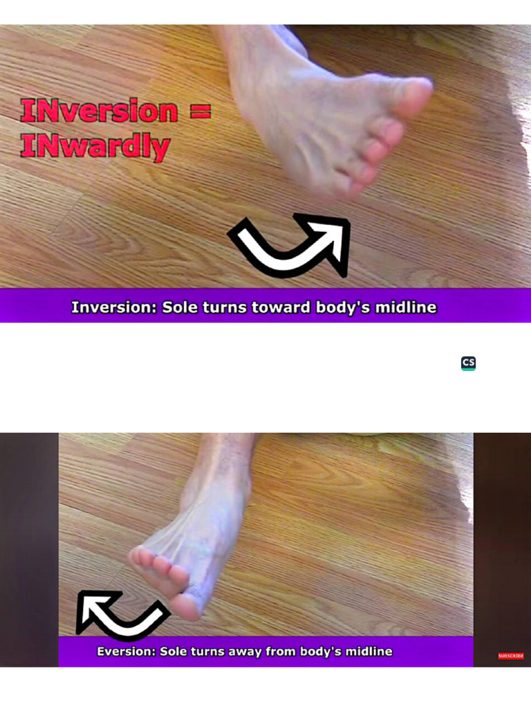 Inversion and Eversion | PDF
