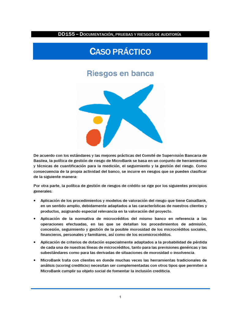 Practica Dd155-Documentacion J Riesgos y Practicas de Auditorias | PDF ...