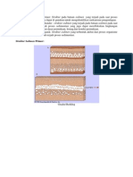 Struktur Sedimen Primer