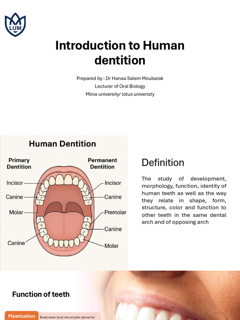 Introduction Part 1 | PDF | Dental Anatomy | Tooth