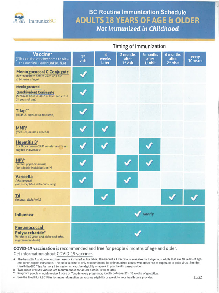 Immunization Schedule For Adults | PDF
