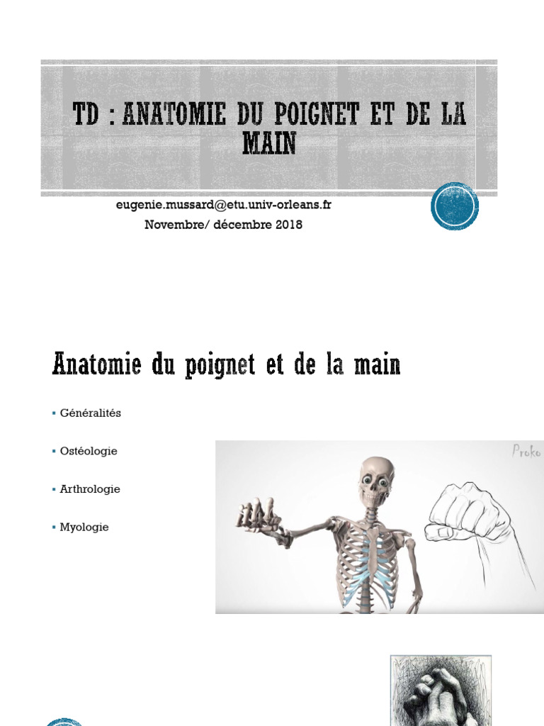 Anatomie de La Main Et Du Poignet L1 | PDF | Main | Système squelettique