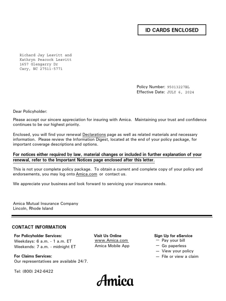 Amica Car | PDF | Insurance | Liability Insurance