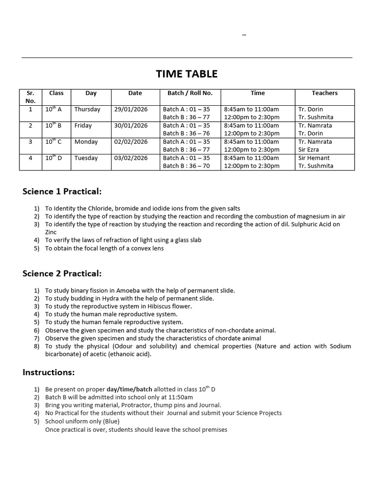Science Practical 2025-2026 | PDF | Chemical Substances | Chemistry