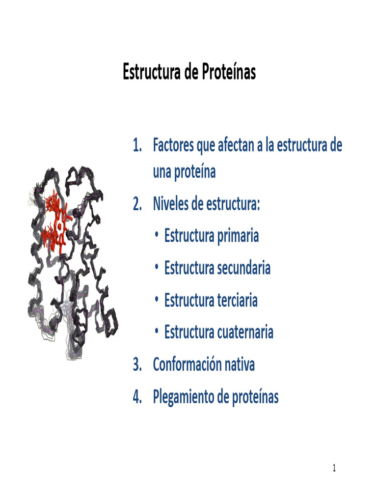 Estructura de Proteinas | PDF | Estructura proteica | Proteínas