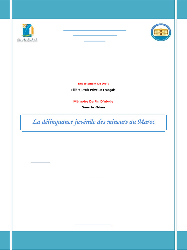 PPPFE La Délinquence Juvénile - Copie | PDF | Crimes | Crime et violence
