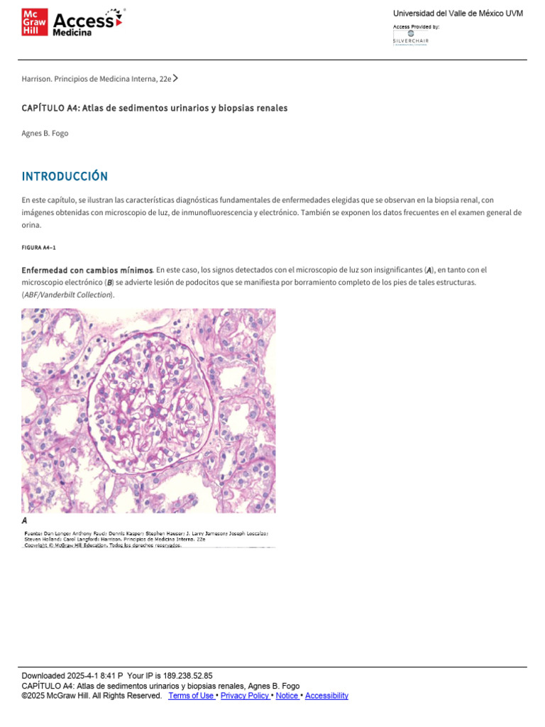 Atlas de Sedimentos y Biopsias Renales | PDF | Especialidades Medicas ...