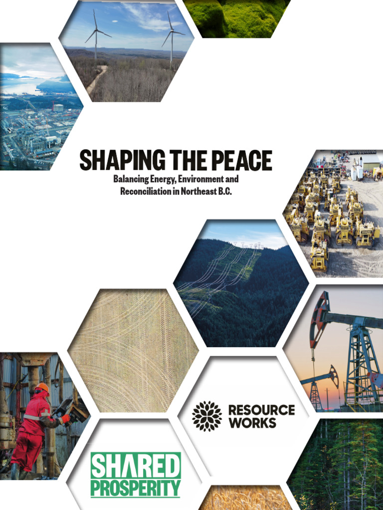 RW - Shaping The Peace Package - Print | PDF | Climate Change ...