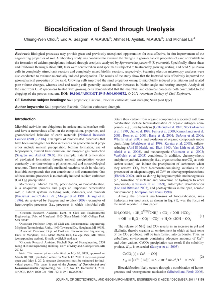 Biocalcification of Sand Through Ureolys | PDF | Soil | Porosity