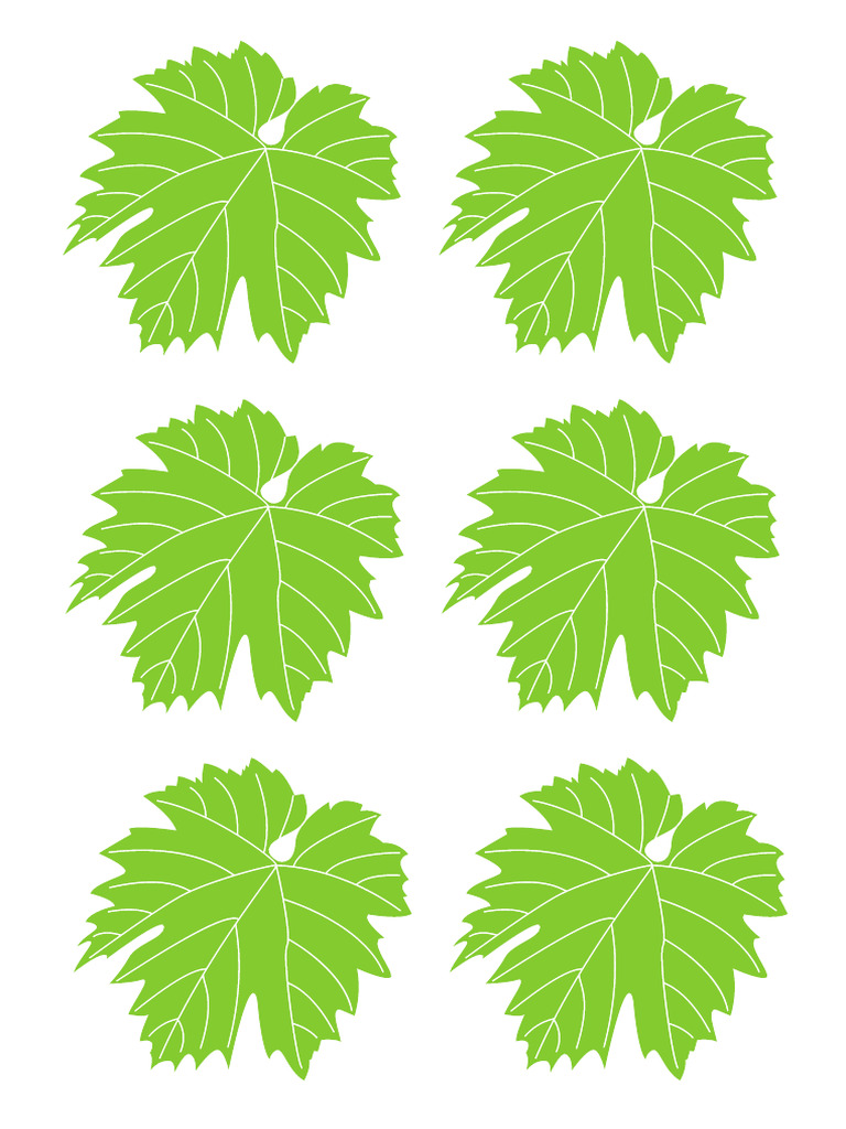 Grape Leaves | PDF
