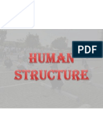 Human Structure