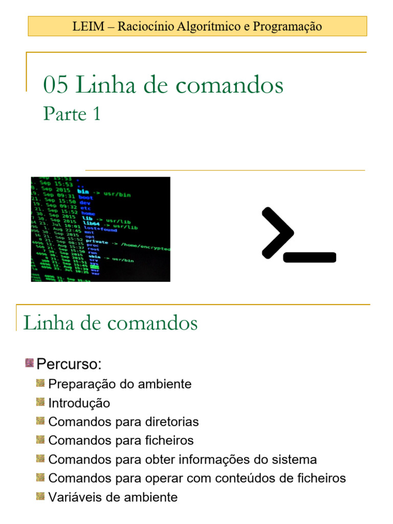 RAP 05 - Linha de Comandos - Parte1 | PDF | Interface de linha de ...