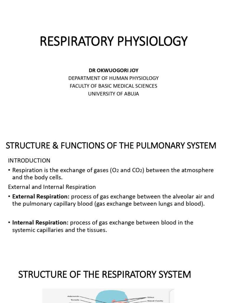 Respiratory Physiology - Human Physiology | PDF | Respiratory Tract | Lung