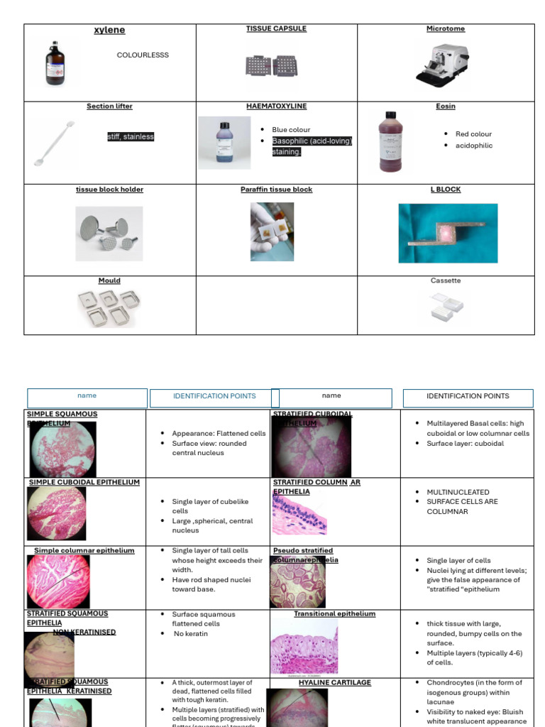 Histology Test | PDF | Epithelium | Anatomy