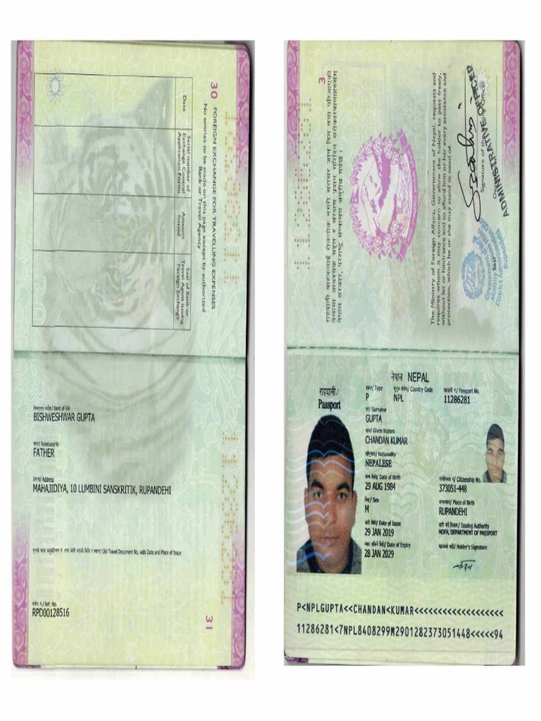 Chandan Kumar Gupta PP & Pic | PDF