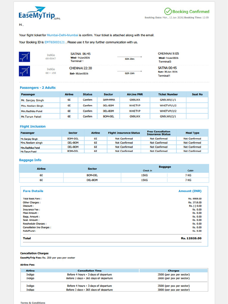 475547865 Your Flight Ticket (1) | PDF