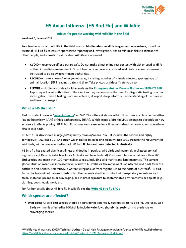 ok4 | PDF