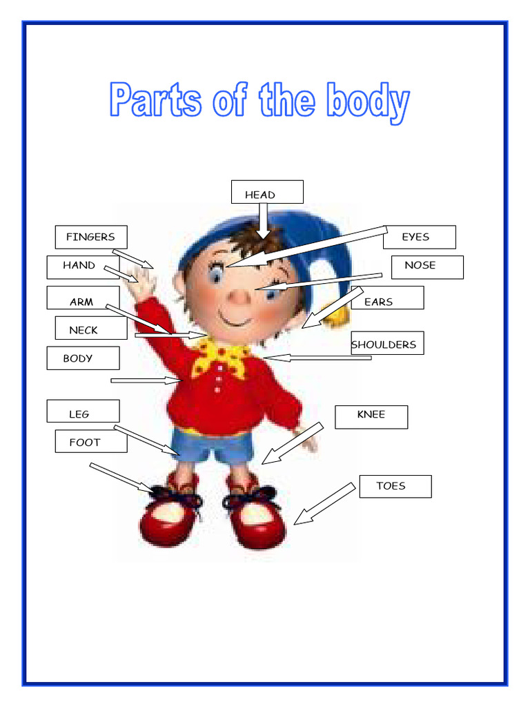 Worksheet - Parts of The Body | PDF