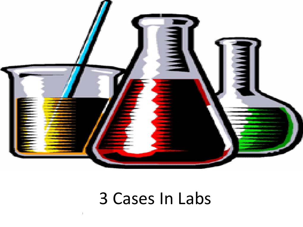 Laboratory Cases | PDF | Sulfur | Iron