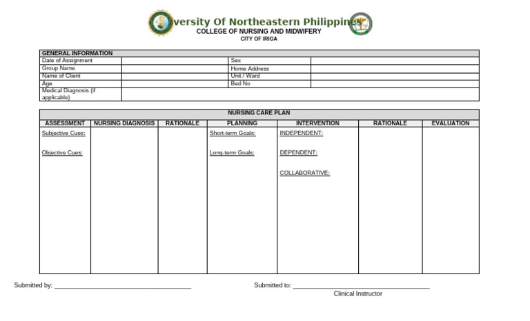 Unep NCP Template | PDF
