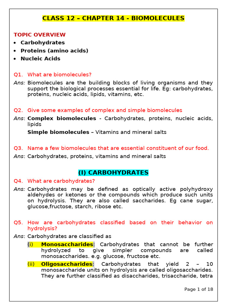 12 Che Biomolecules Revised | PDF | Rna | Carbohydrates