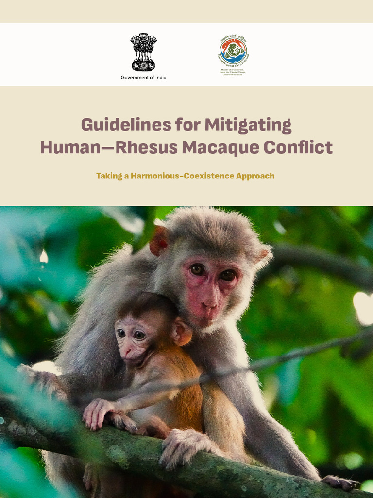 Human–Rhesus Macaque Conflict_Mitigation | PDF | Natural Environment